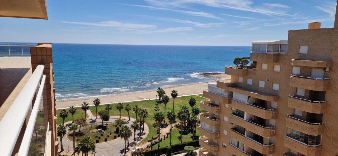 شقة Playa Dorada Nº 1065 أوروبيسا ذيل مار المظهر الخارجي الصورة